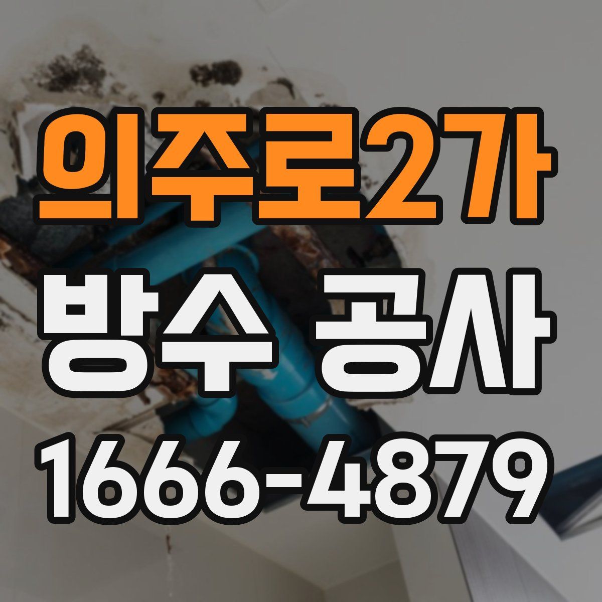 의주로2가 방수 공사