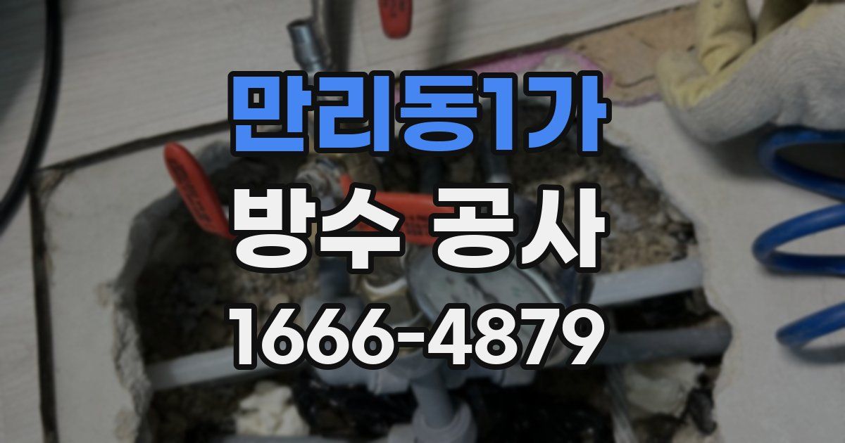 만리동1가 방수 공사