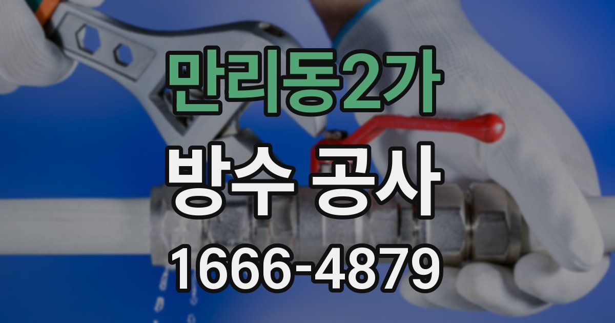 만리동2가 방수 공사