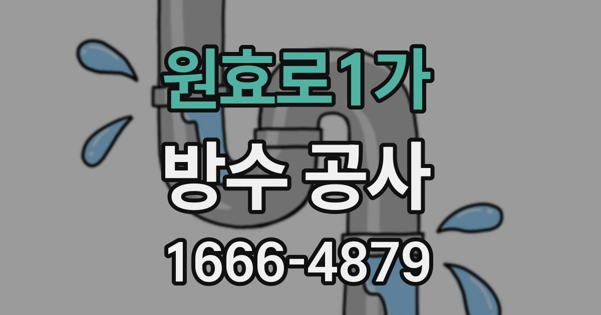 원효로1가 방수 공사