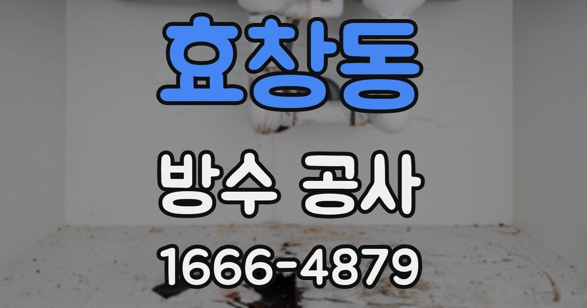 효창동 방수 공사