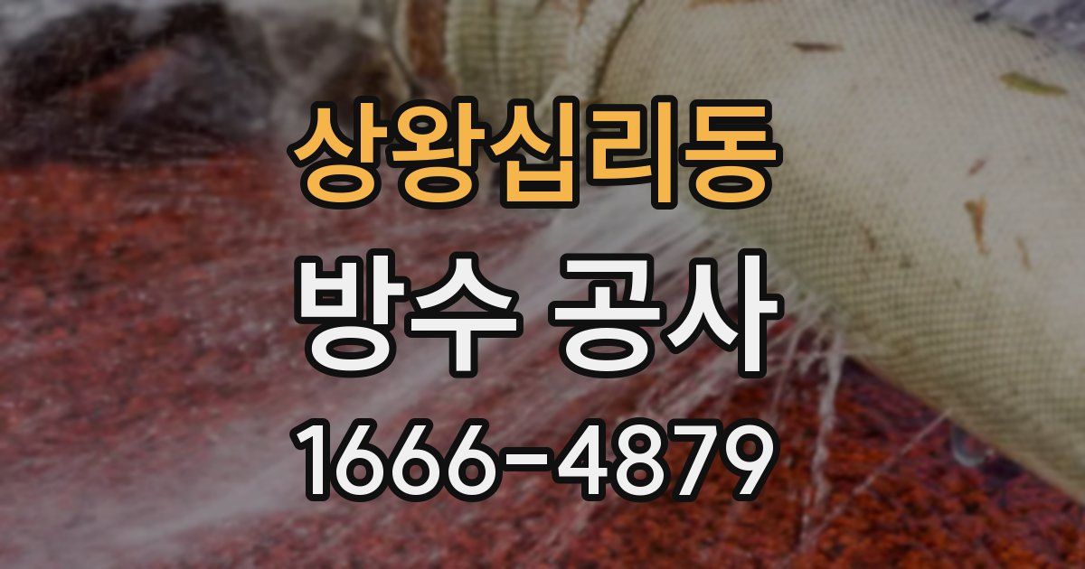 상왕십리동 방수 공사
