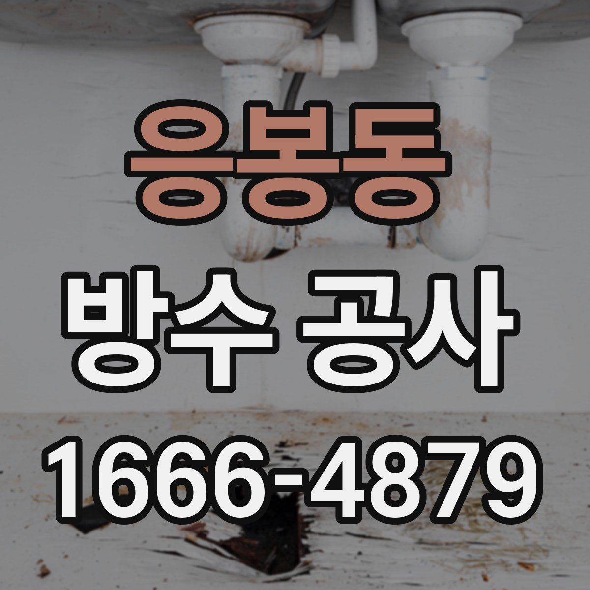 응봉동 방수 공사