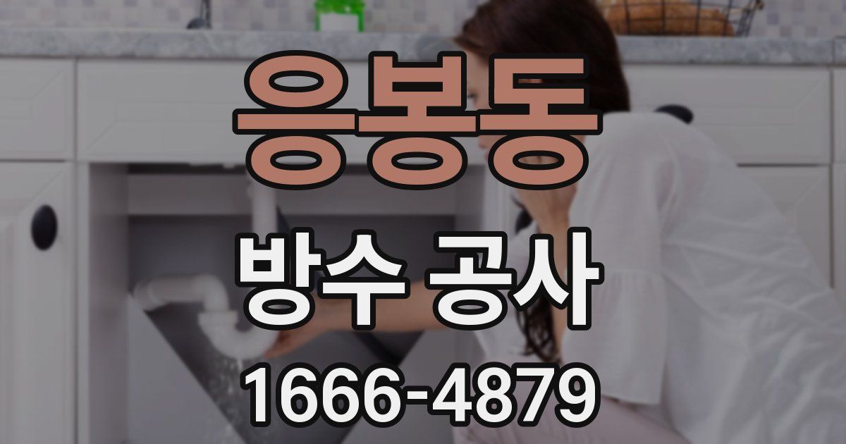응봉동 방수 공사