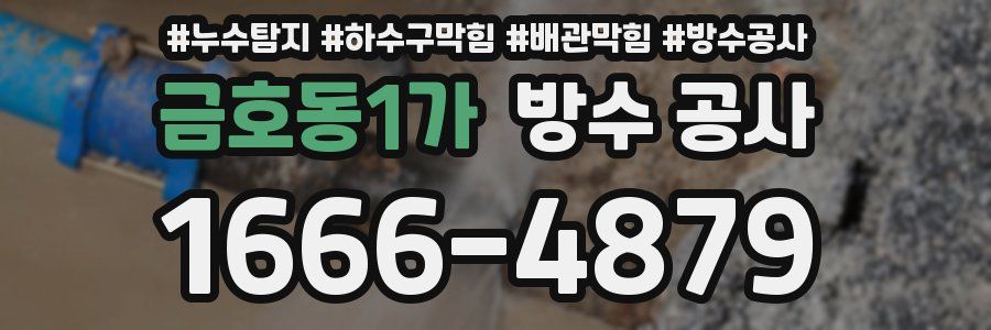 금호동1가 방수 공사