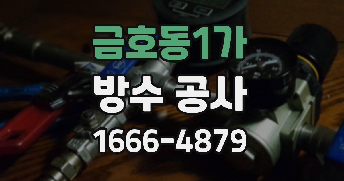 금호동1가 방수 공사