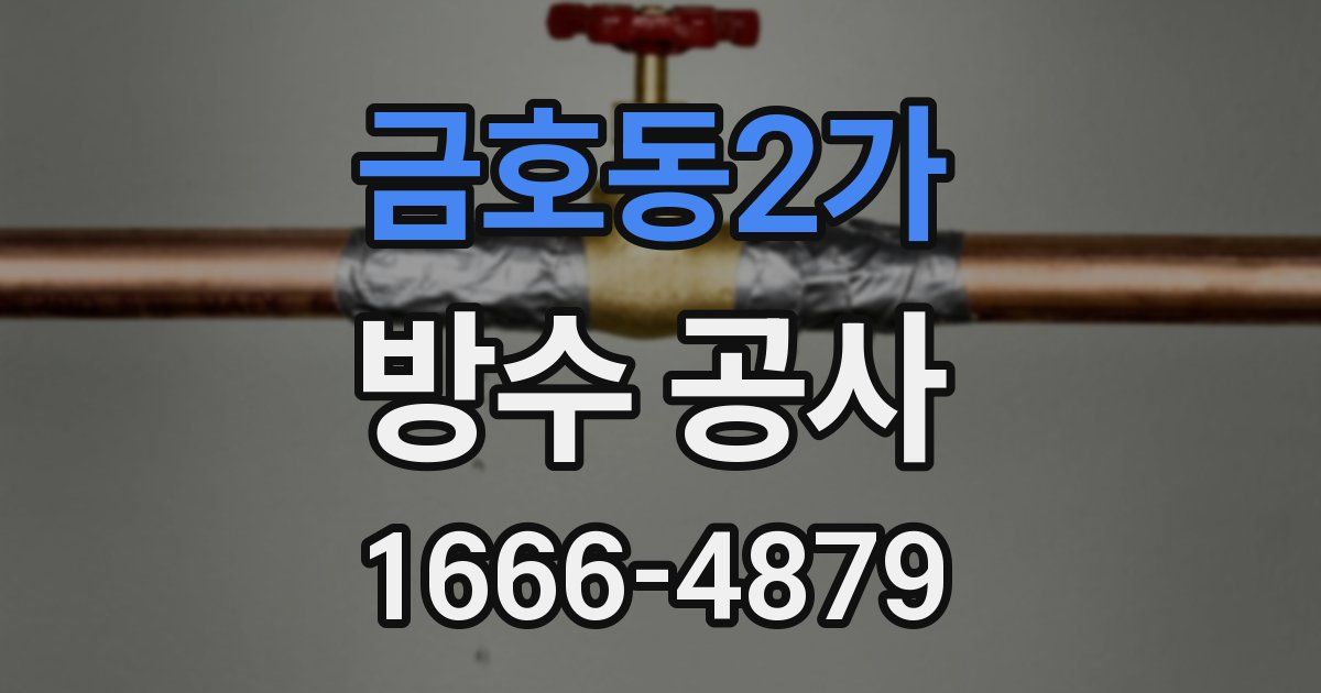 금호동2가 방수 공사