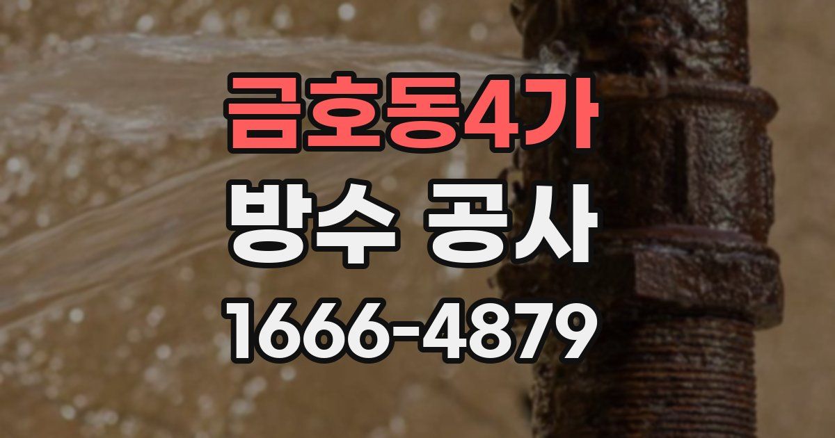 금호동4가 방수 공사