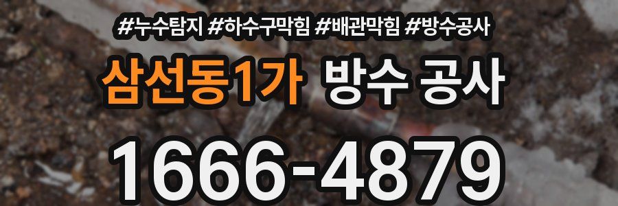 삼선동1가 방수 공사