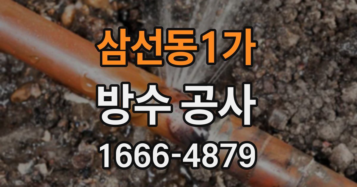 삼선동1가 방수 공사