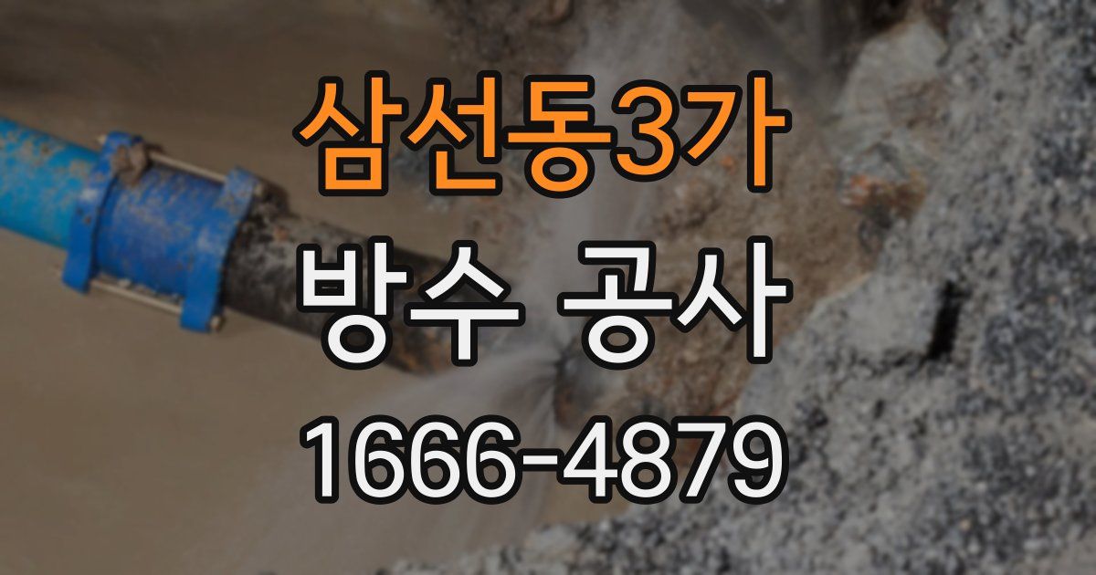 삼선동3가 방수 공사