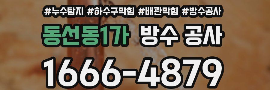 동선동1가 방수 공사