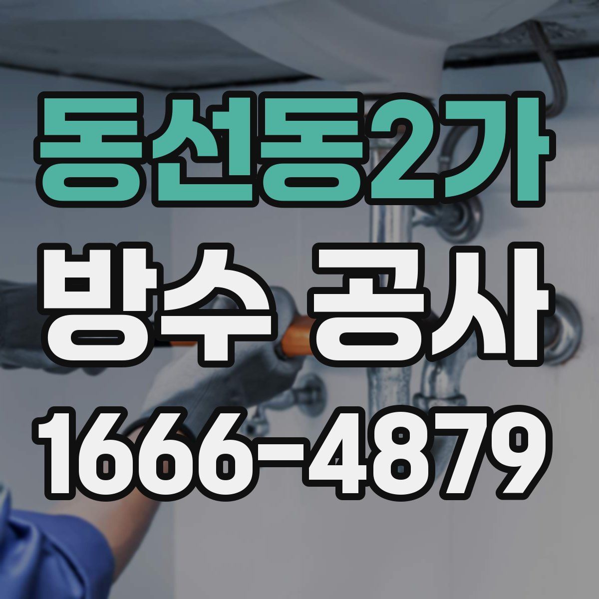 동선동2가 방수 공사