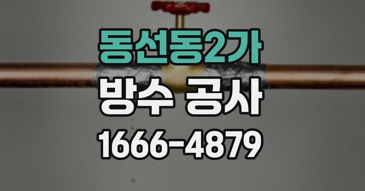 동선동2가 방수 공사