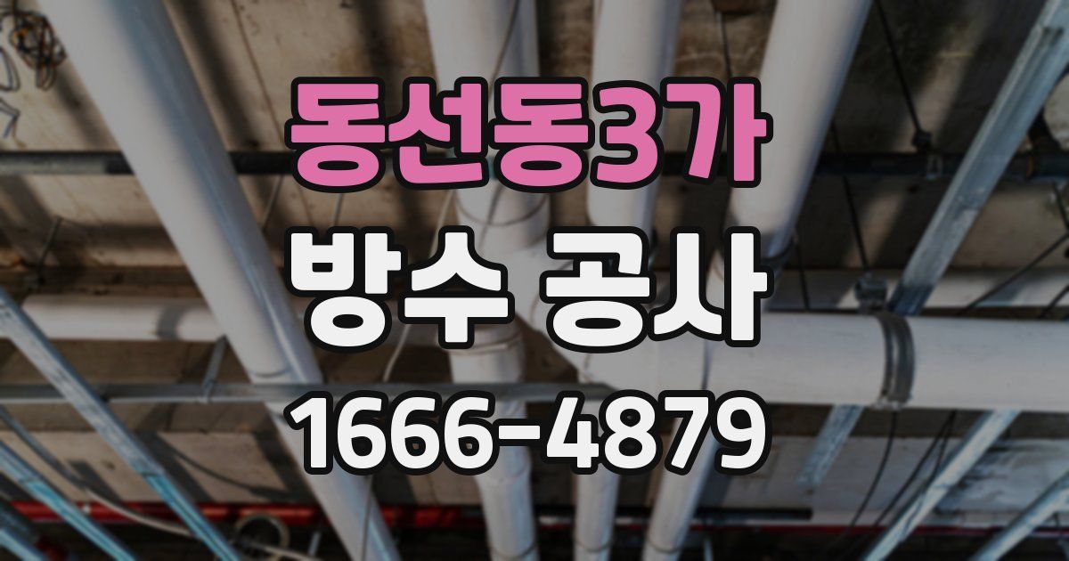 동선동3가 방수 공사