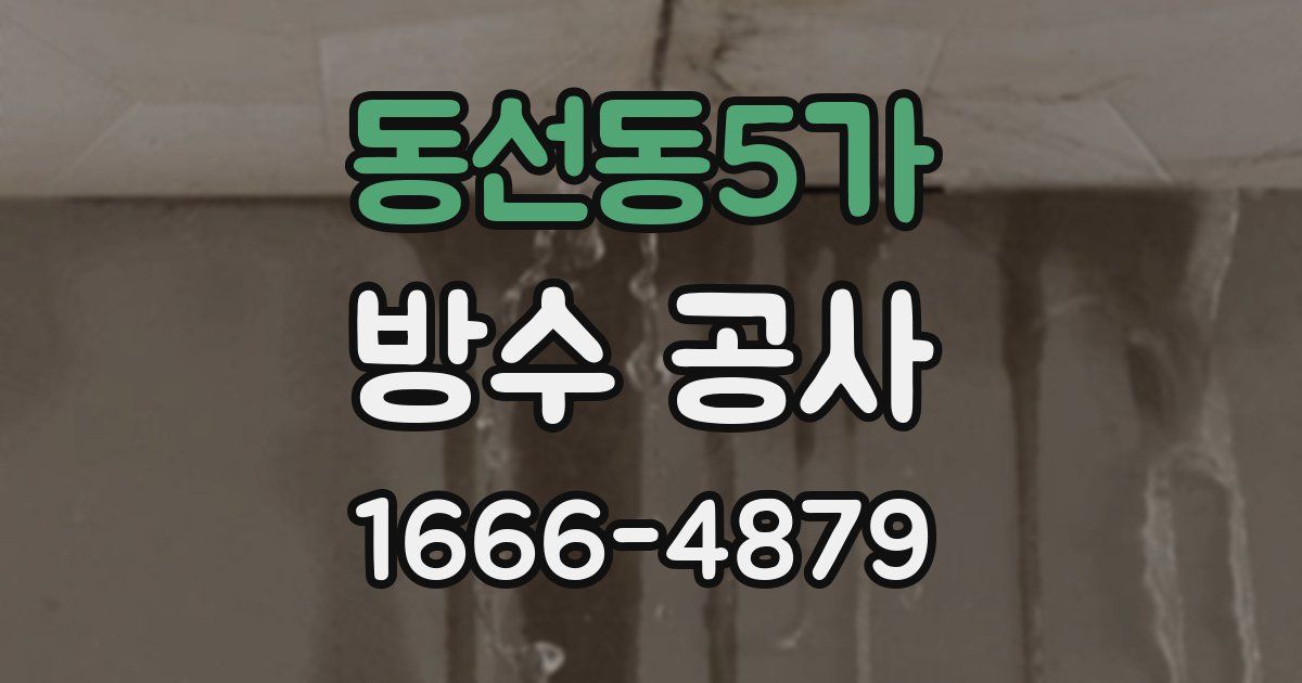 동선동5가 방수 공사