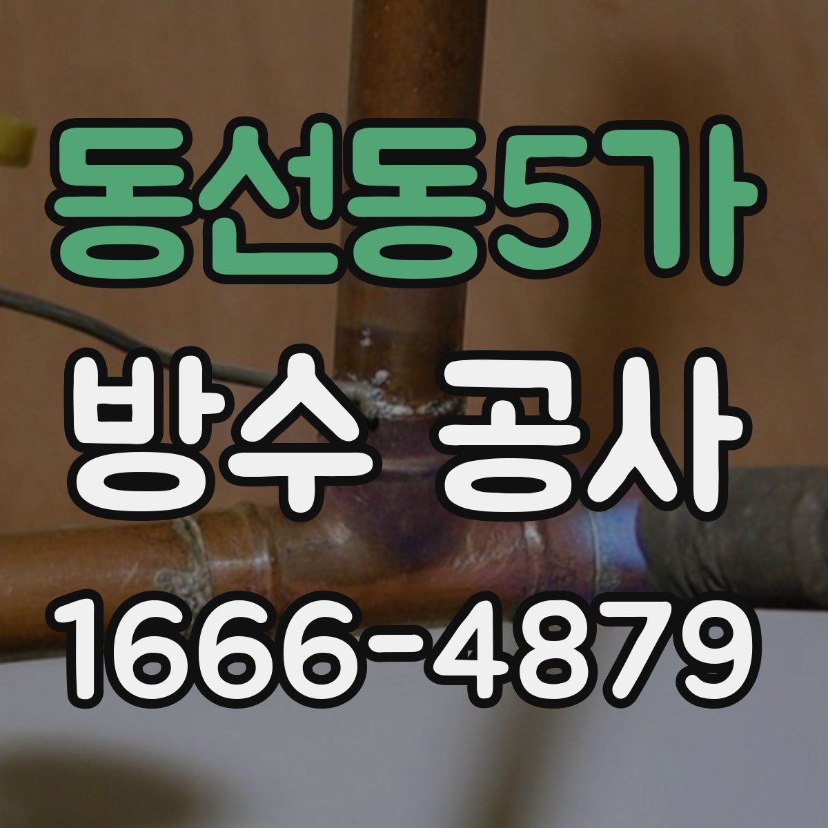 동선동5가 방수 공사