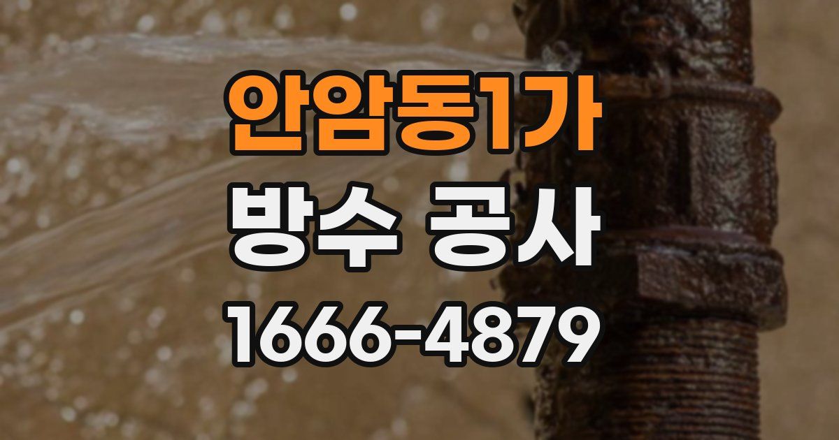 안암동1가 방수 공사