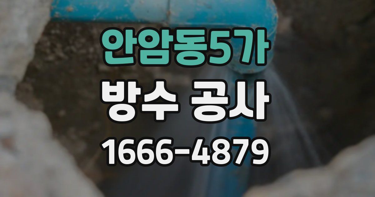안암동5가 방수 공사