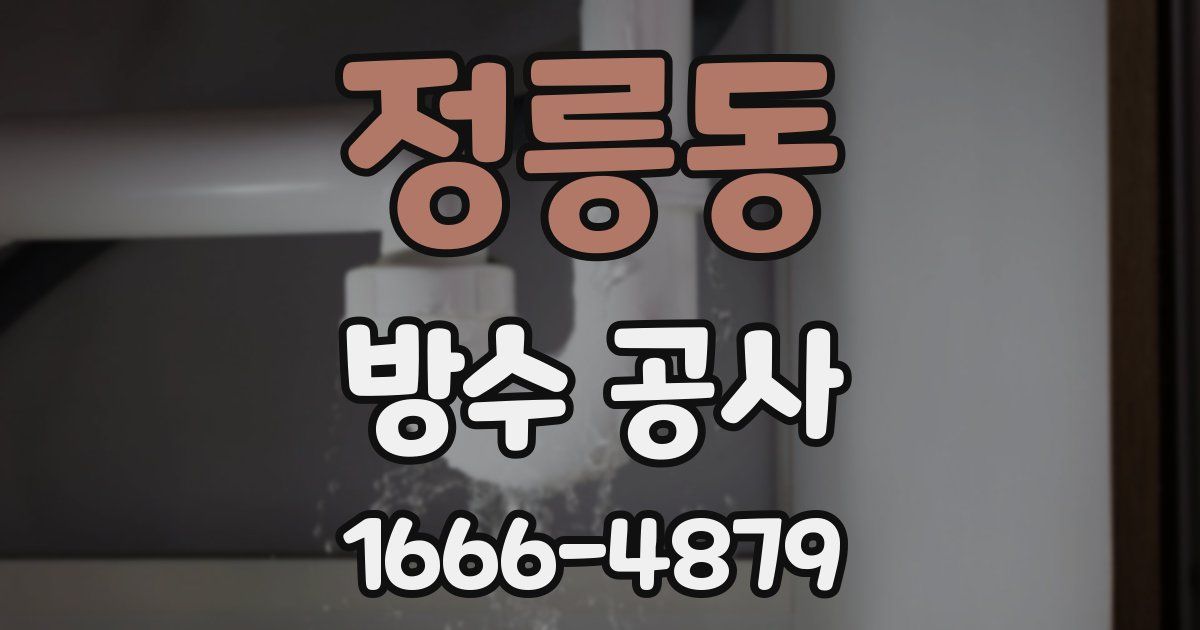 정릉동 방수 공사