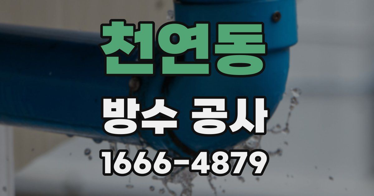천연동 방수 공사