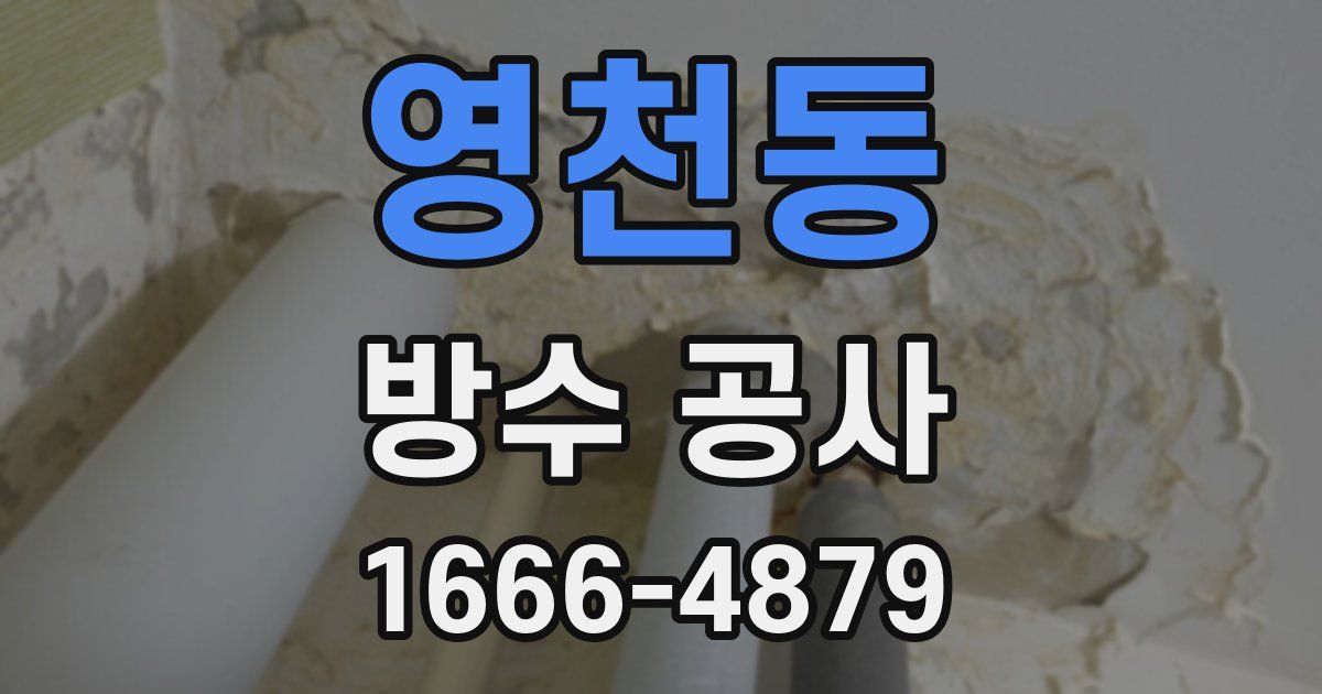 영천동 방수 공사