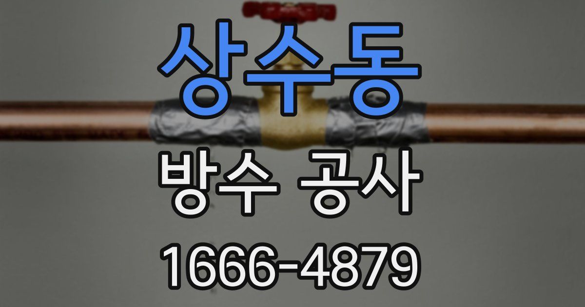 상수동 방수 공사
