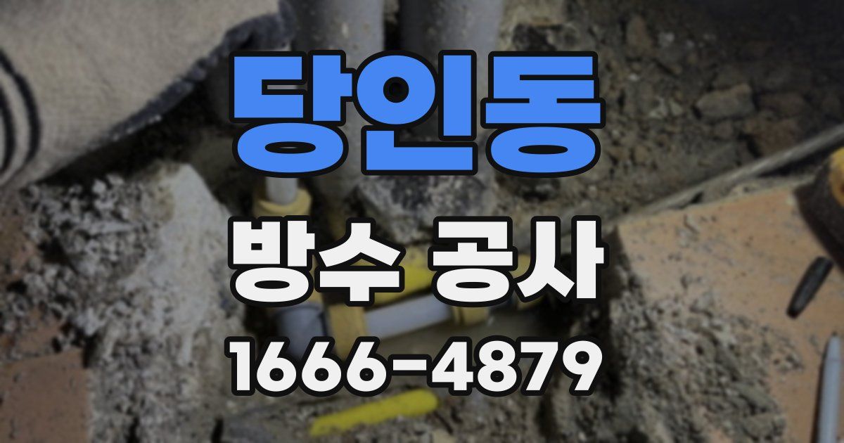 당인동 방수 공사