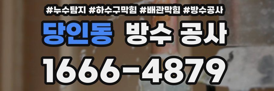 당인동 방수 공사