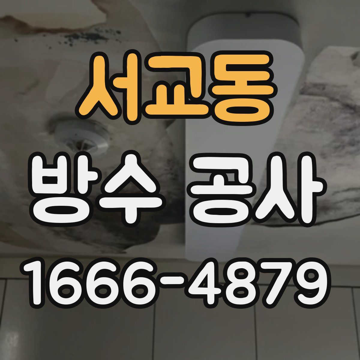 서교동 방수 공사
