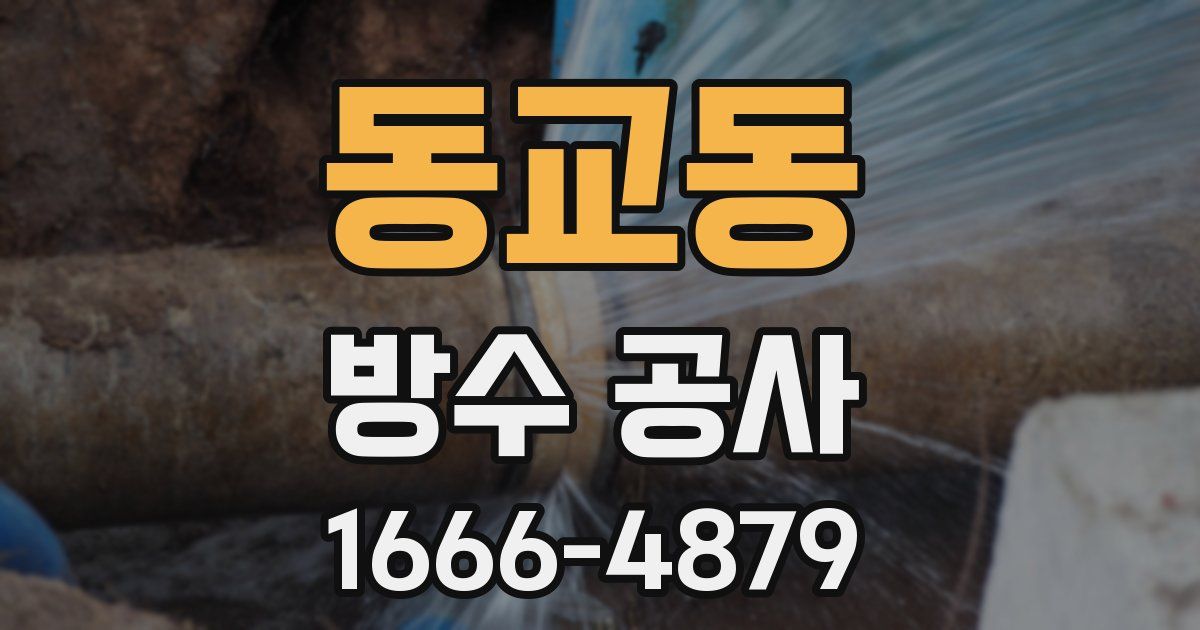 동교동 방수 공사