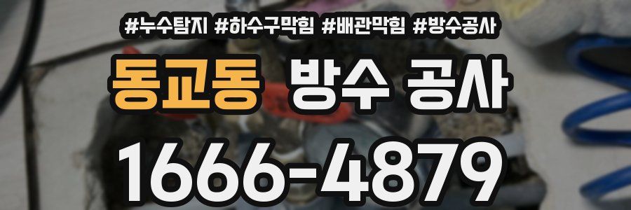 동교동 방수 공사