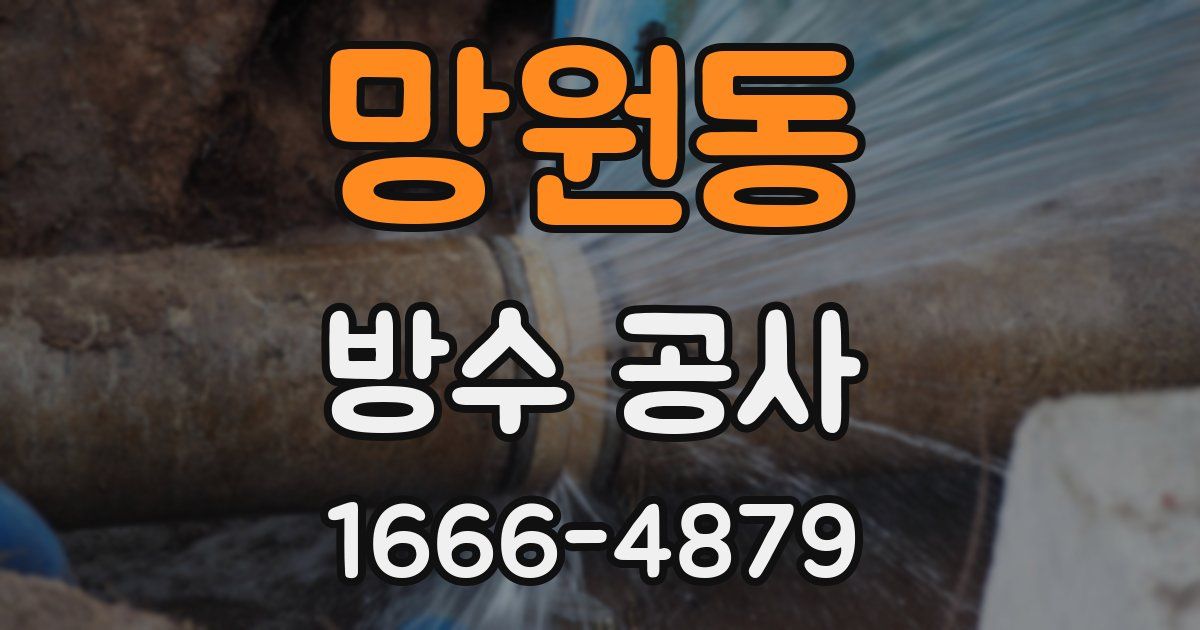 망원동 방수 공사