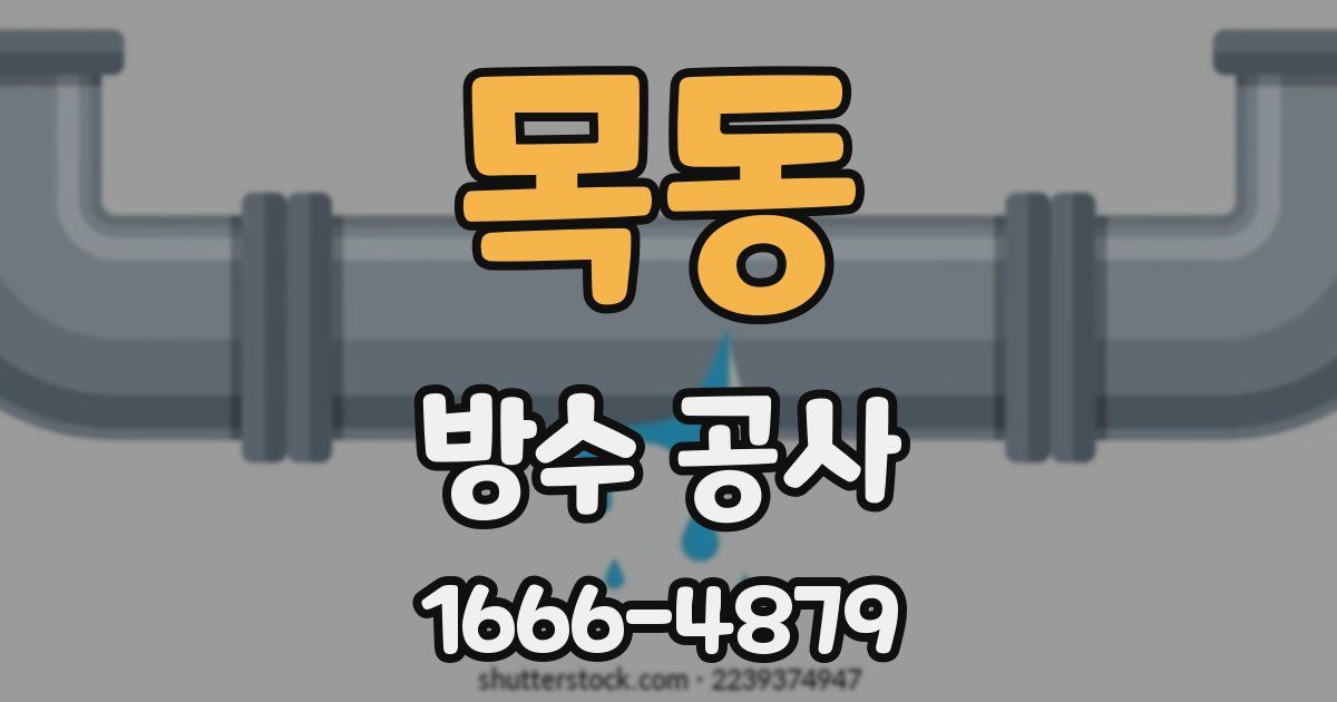 목동 방수 공사