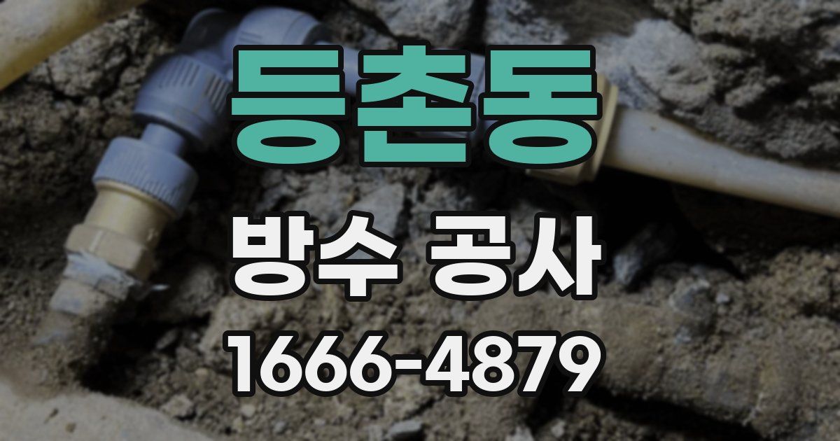 등촌동 방수 공사