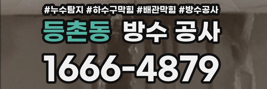 등촌동 방수 공사