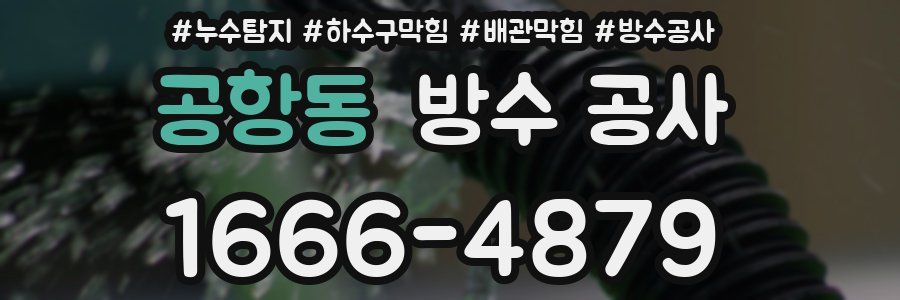 공항동 방수 공사