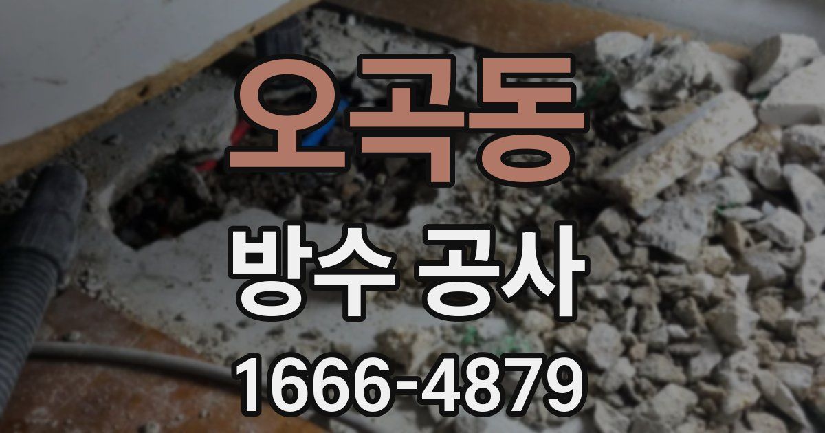 오곡동 방수 공사