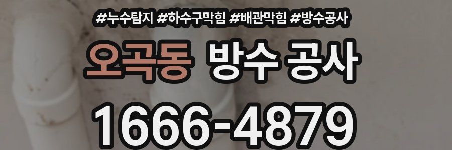 오곡동 방수 공사