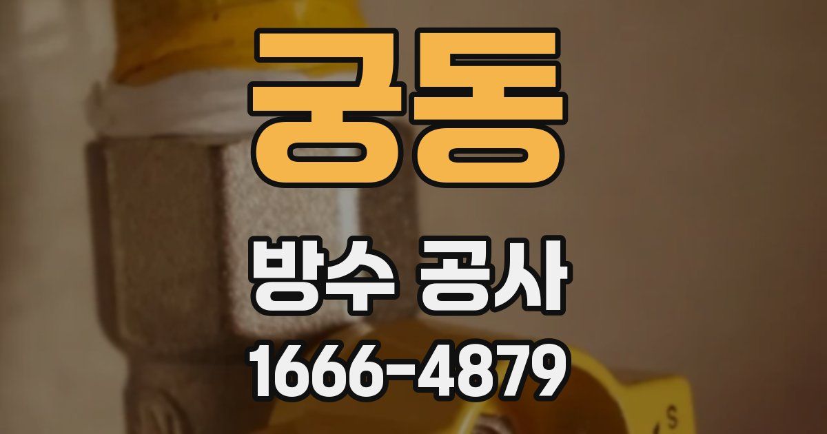 궁동 방수 공사