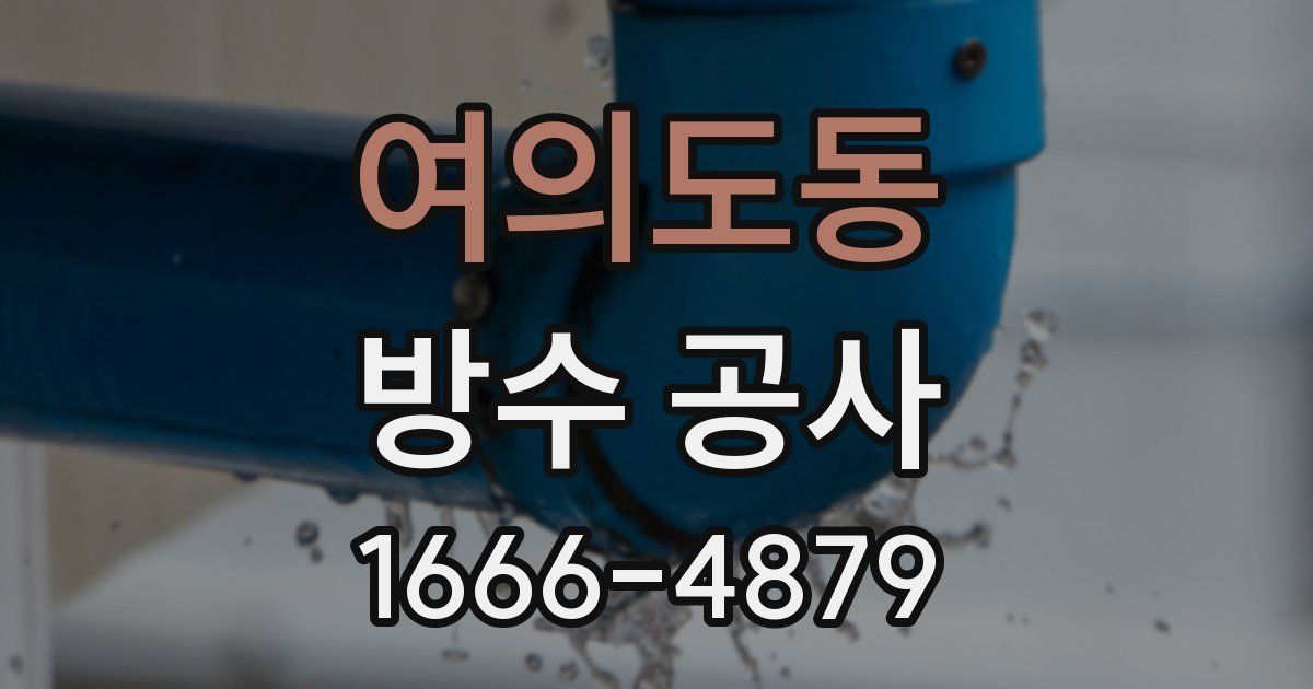 여의도동 방수 공사