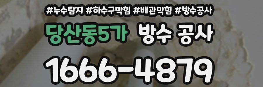 당산동5가 방수 공사