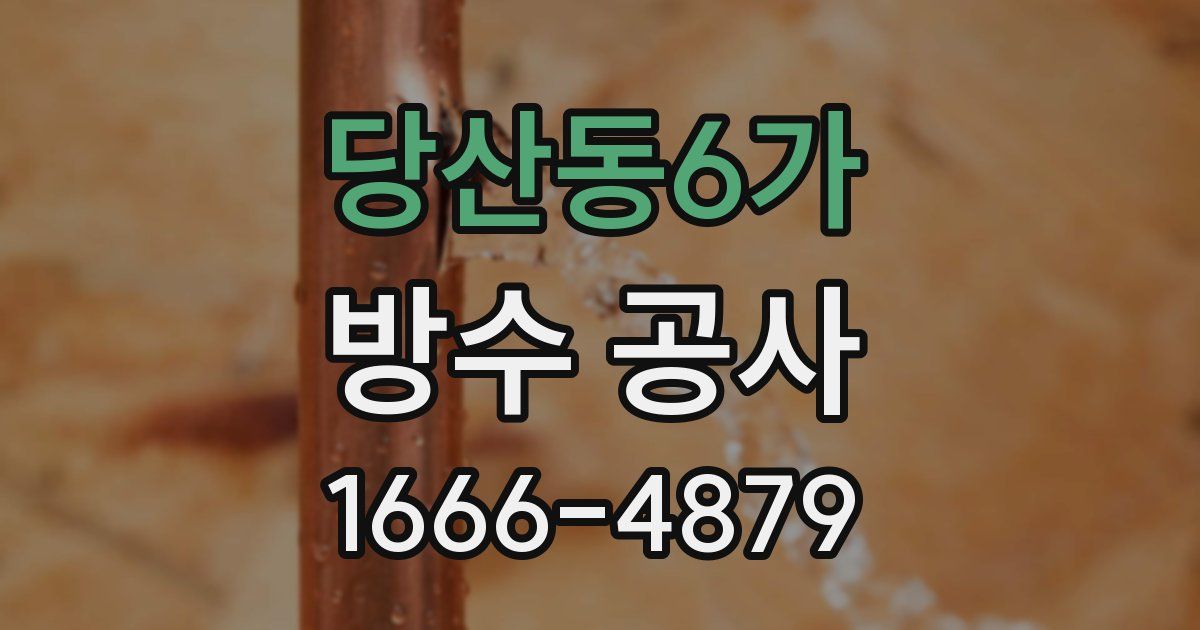 당산동6가 방수 공사