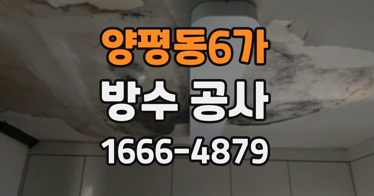 양평동6가 방수 공사