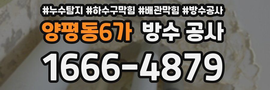 양평동6가 방수 공사