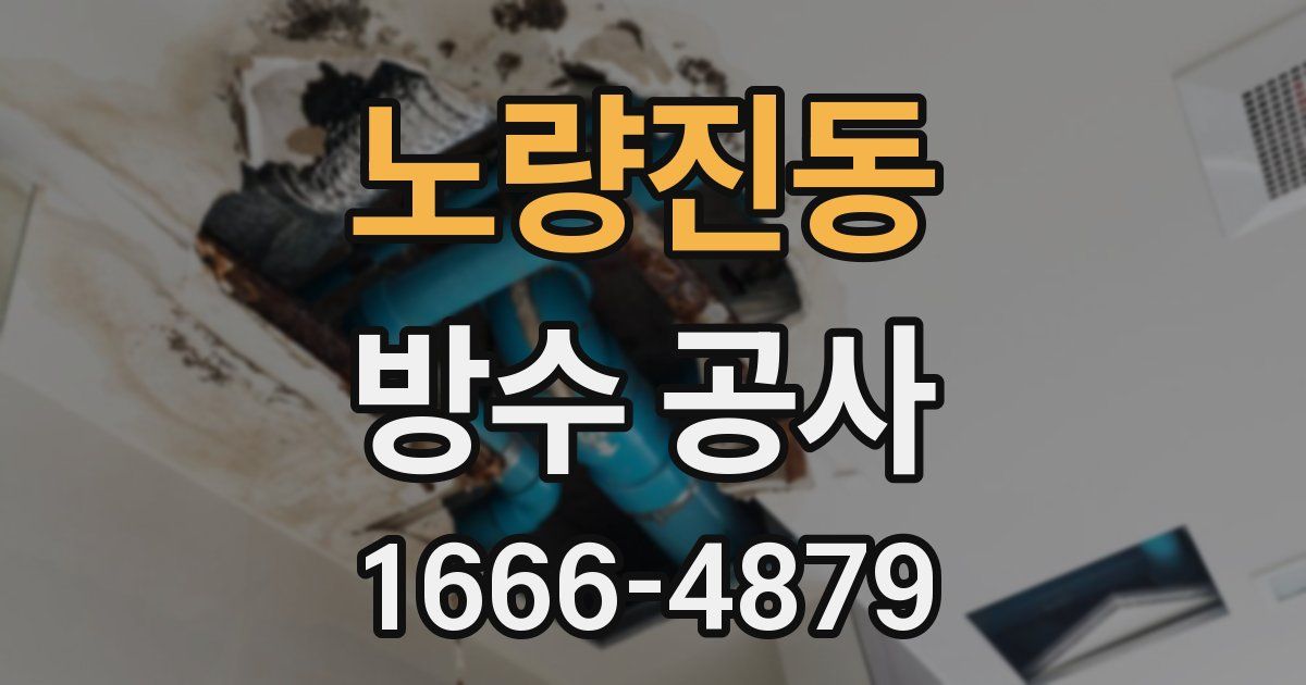 노량진동 방수 공사