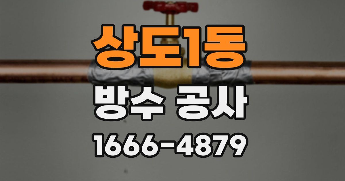 상도1동 방수 공사