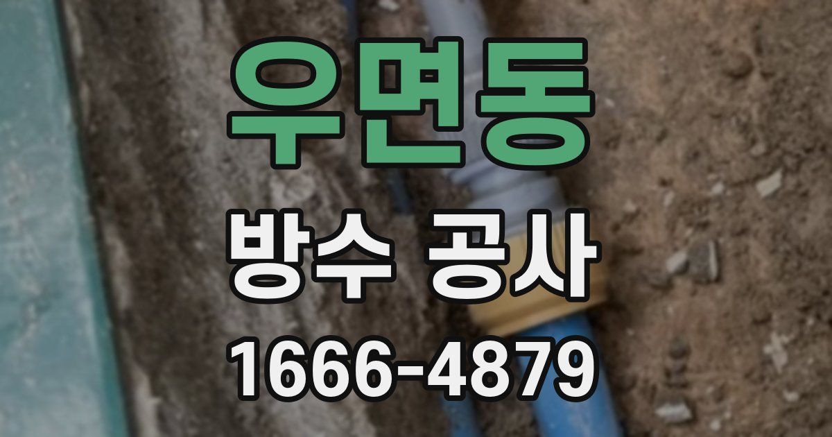 우면동 방수 공사