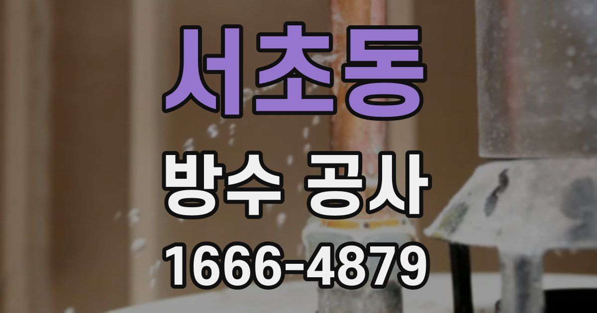 서초동 방수 공사