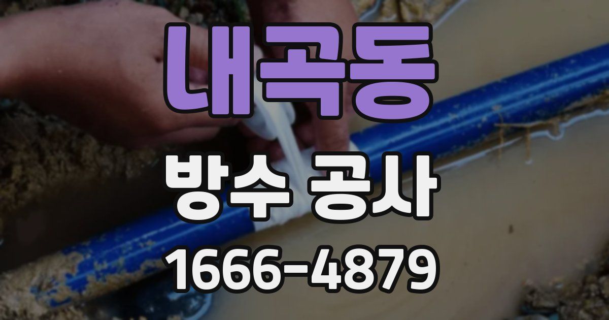 내곡동 방수 공사